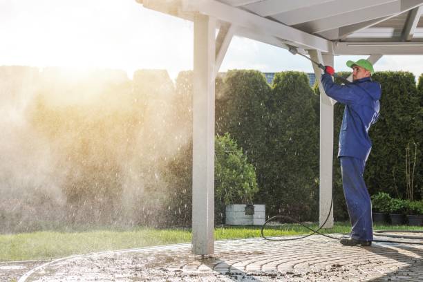 Best Building Exterior Washing  in Braham, MN