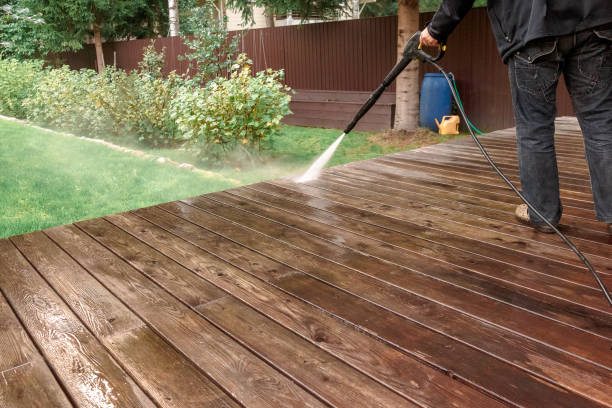 Best Pre-Holiday Cleaning  in Braham, MN