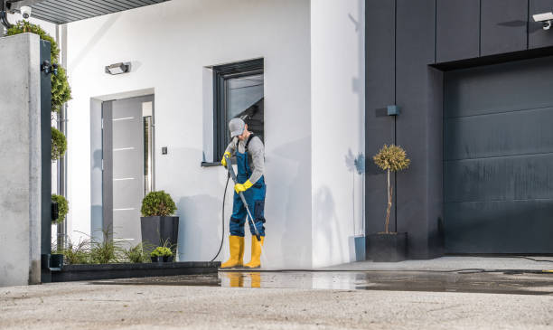 Best Solar Panel Cleaning  in Braham, MN
